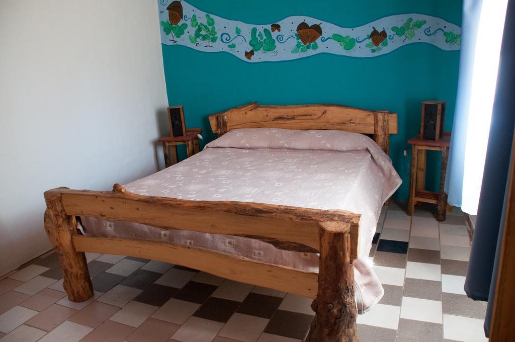 Hosteria Rural Viejo Roble Сан-Рафаэль Номер фото